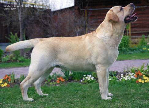 post-13779-0-58473900-1364974202_thumb.j