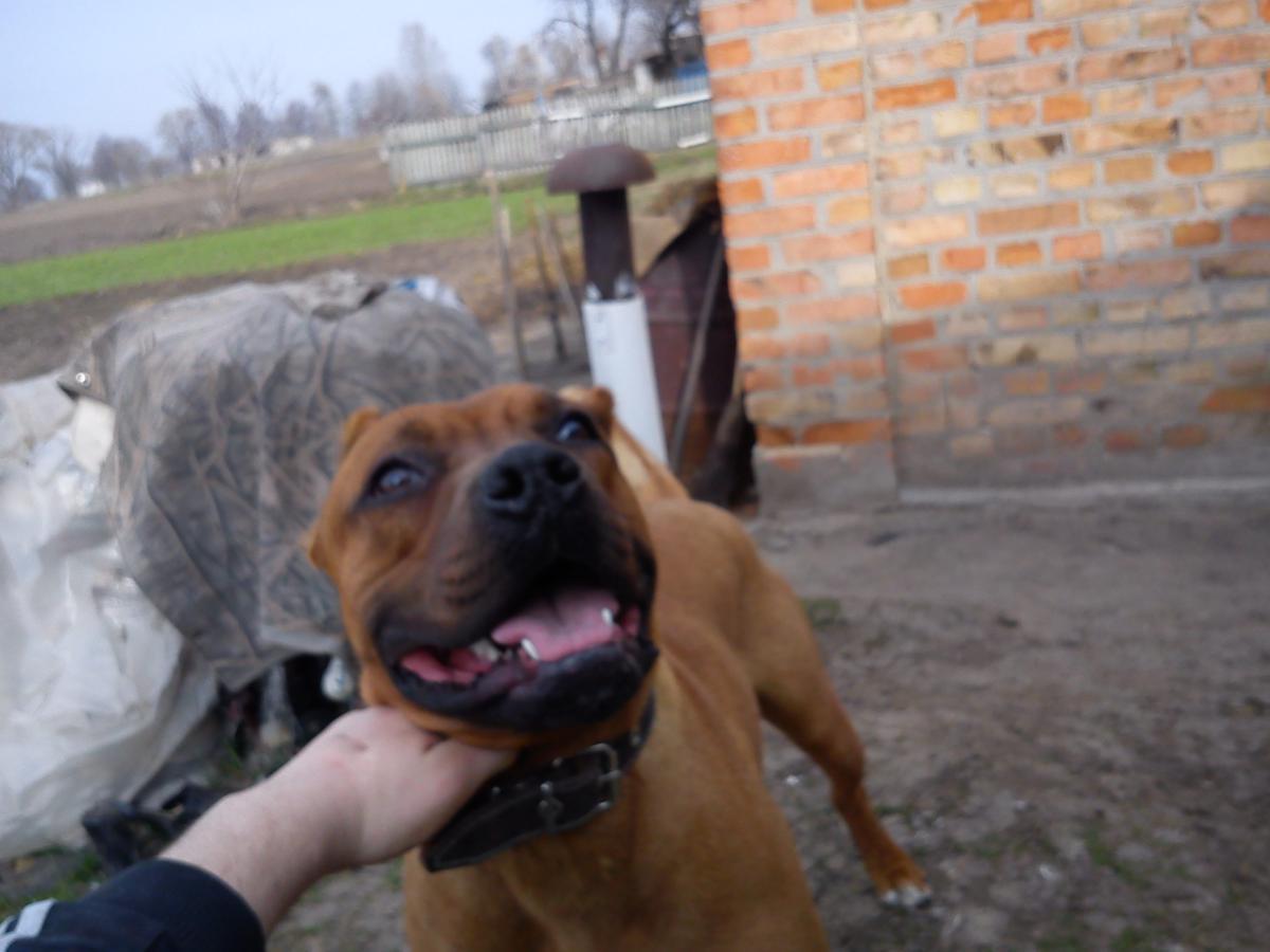 post-14742-0-30912700-1366457362_thumb.j