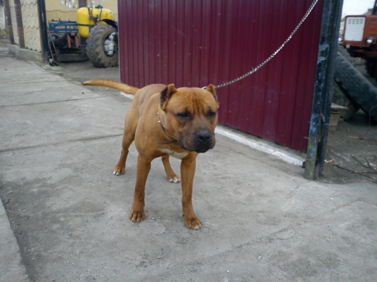 post-14742-0-55339100-1366457493_thumb.j