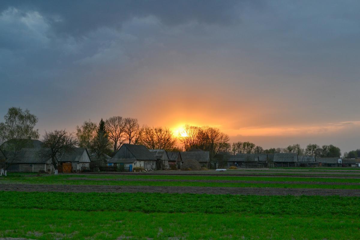 post-1554-0-26933600-1367353831_thumb.jp