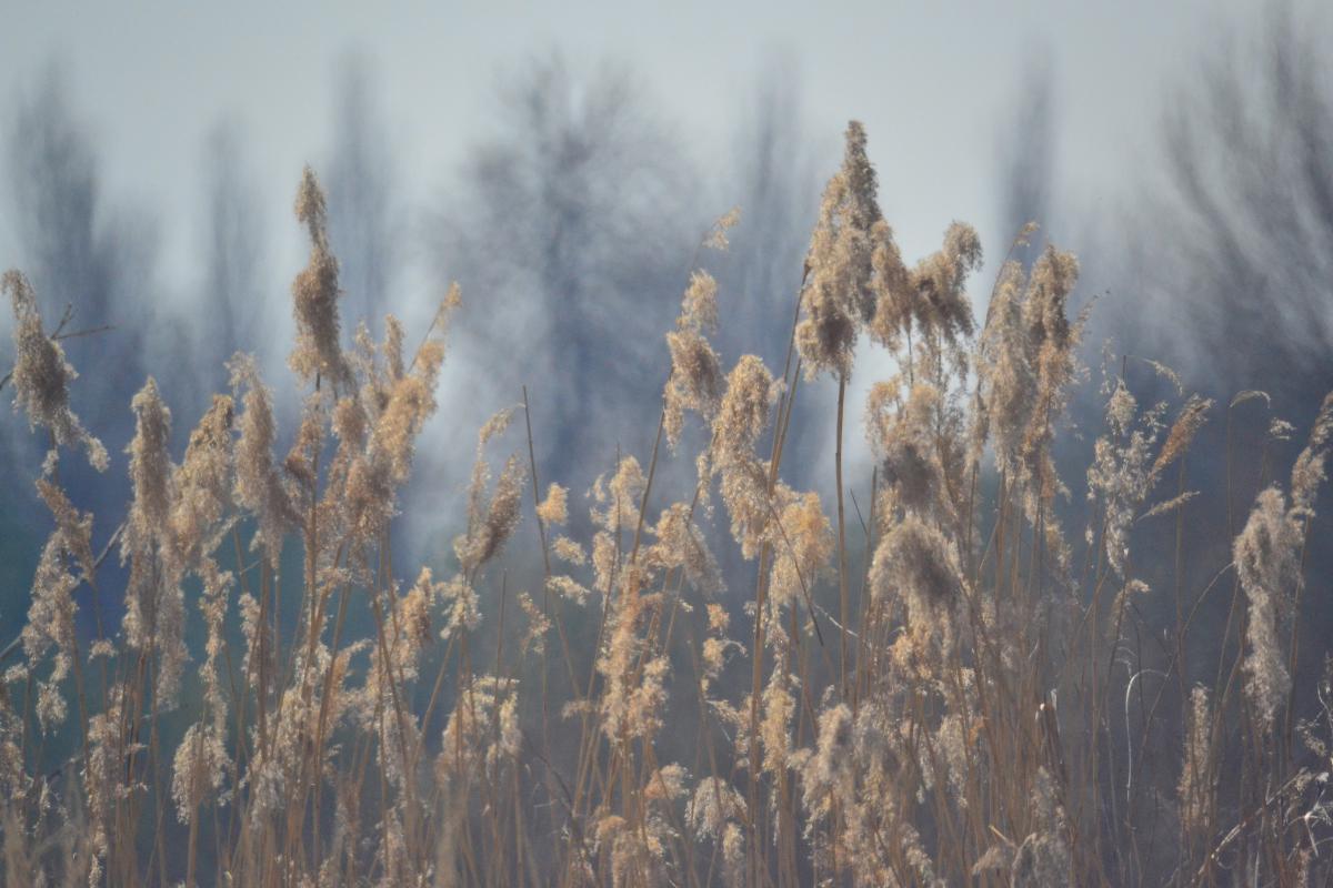 post-1554-0-56911500-1366662664_thumb.jp