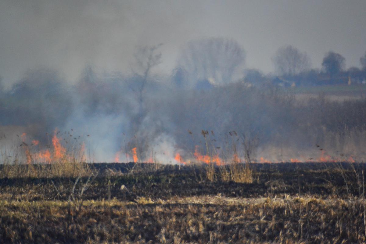 post-1554-0-62361600-1366662374_thumb.jp