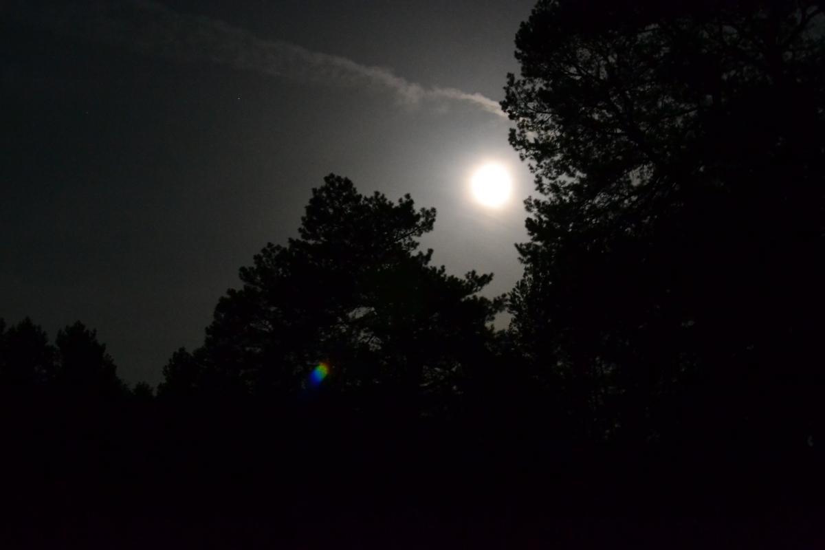 post-1554-0-65147000-1367353957_thumb.jp