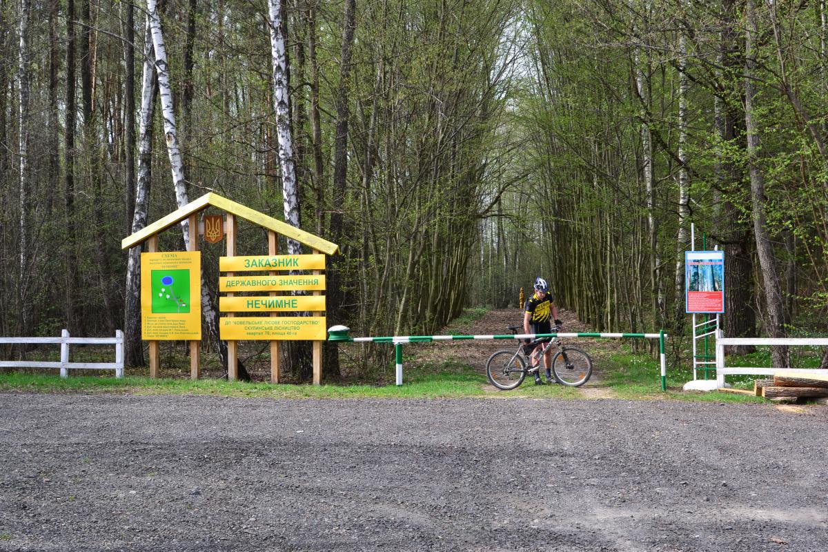 post-1554-0-67505700-1367351895_thumb.jp