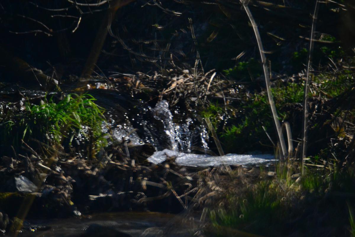 post-1554-0-67897700-1366661102_thumb.jp