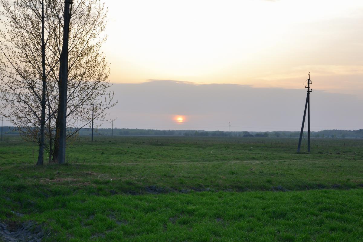 post-1554-0-69068900-1367354364_thumb.jp