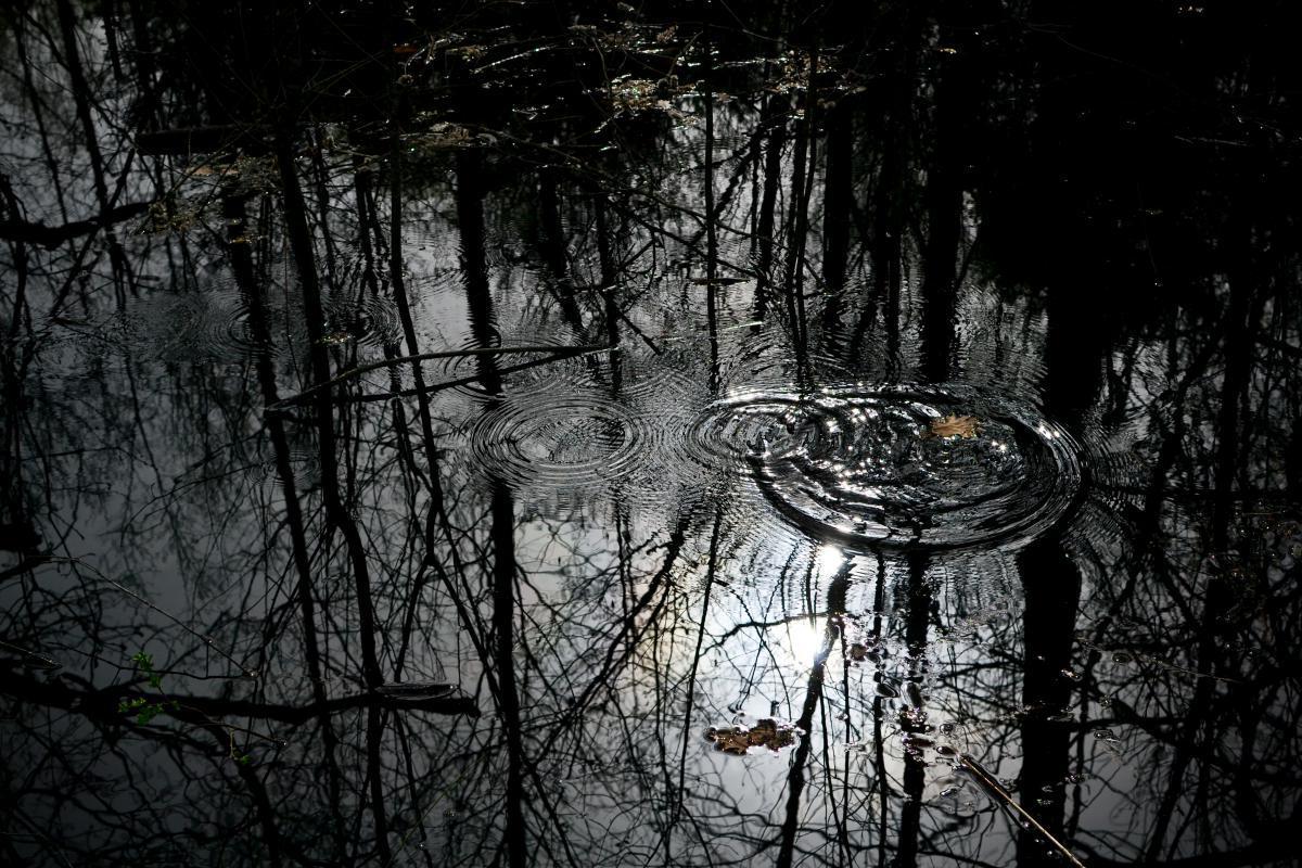 post-1554-0-78318600-1367352039_thumb.jp