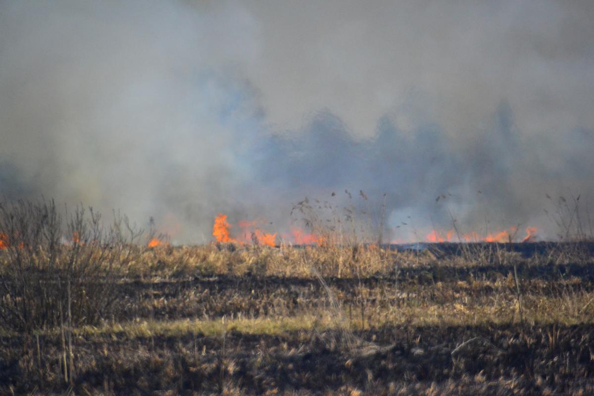 post-1554-0-99323800-1366662355_thumb.jp