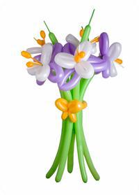 post-16170-0-72700000-1366742290_thumb.j