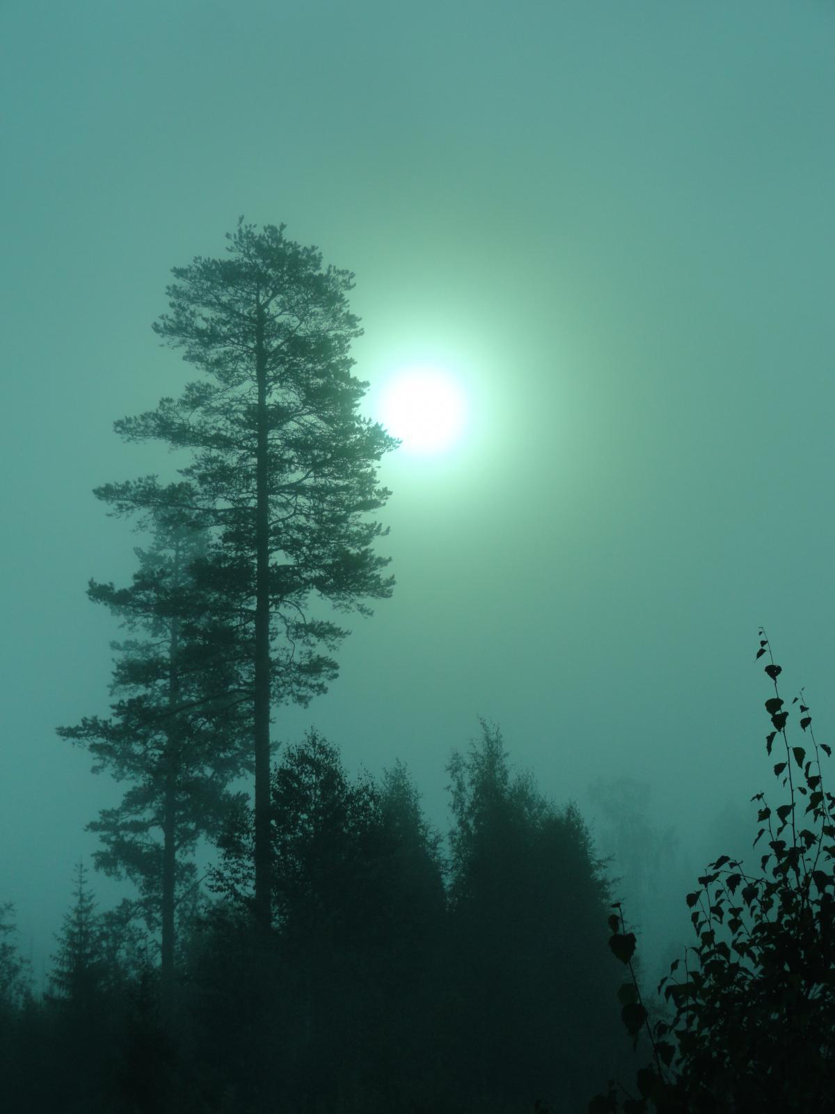 post-16372-0-00862500-1365808268_thumb.j