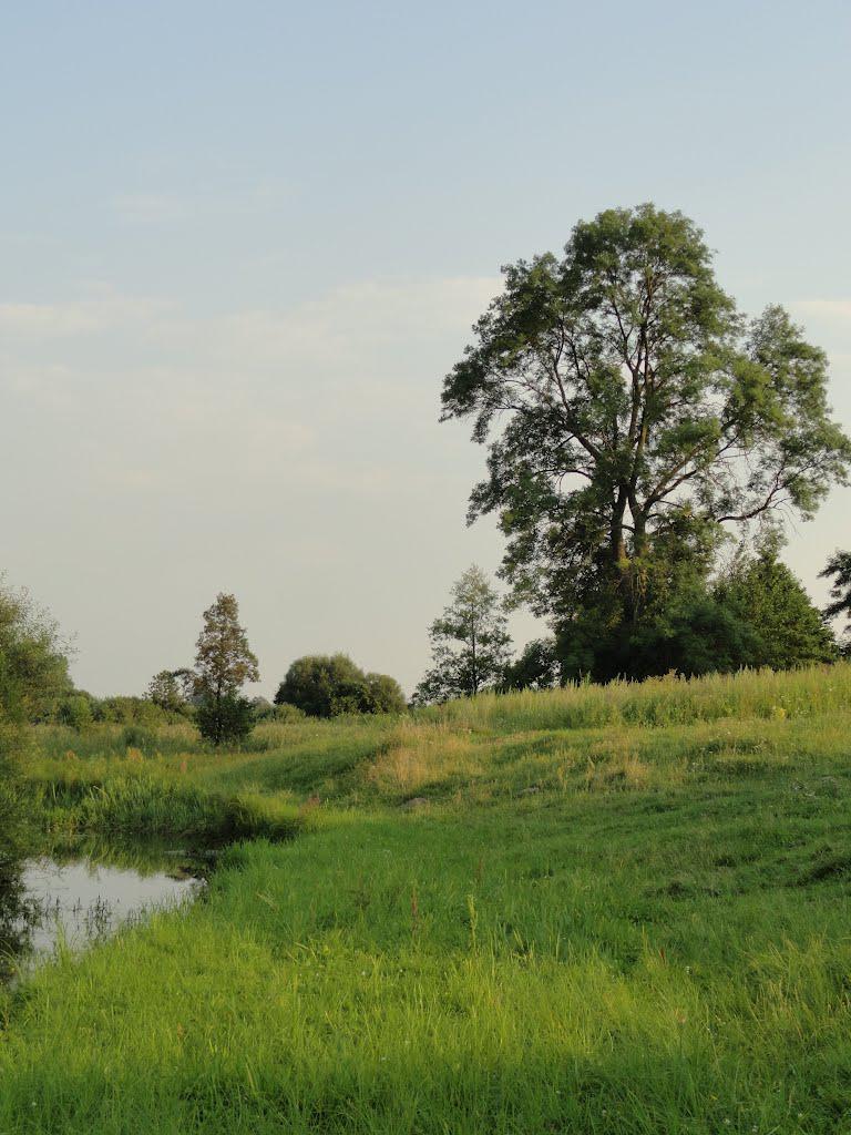 post-16372-0-02074700-1365810323_thumb.j