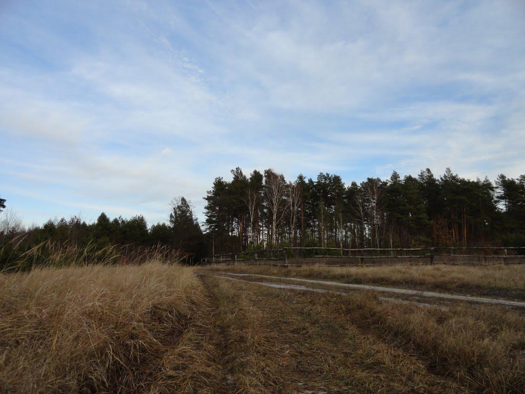 post-16372-0-02974800-1365809058_thumb.j