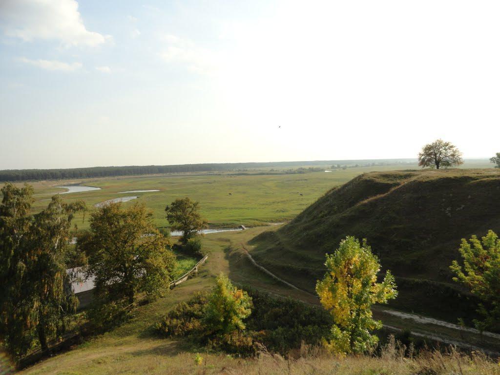 post-16372-0-03041500-1366063415_thumb.j