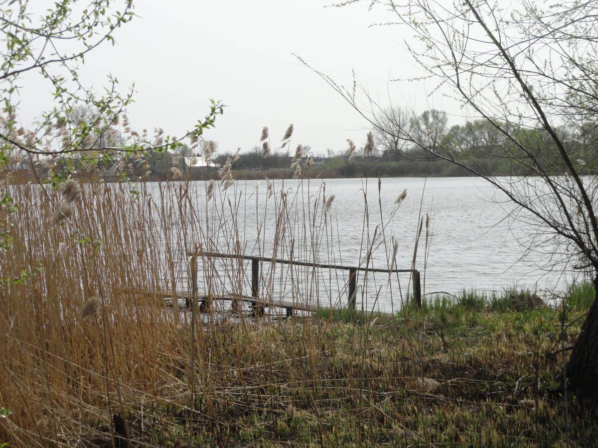 post-16372-0-03387900-1367182847_thumb.j