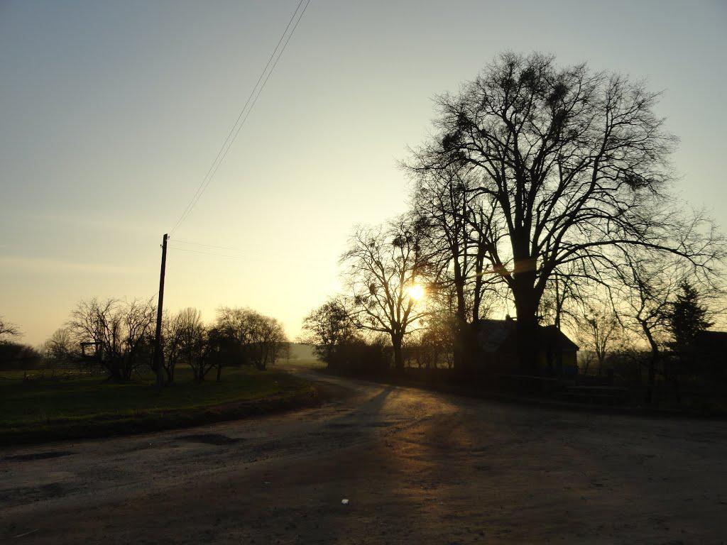 post-16372-0-04293300-1365809763_thumb.j