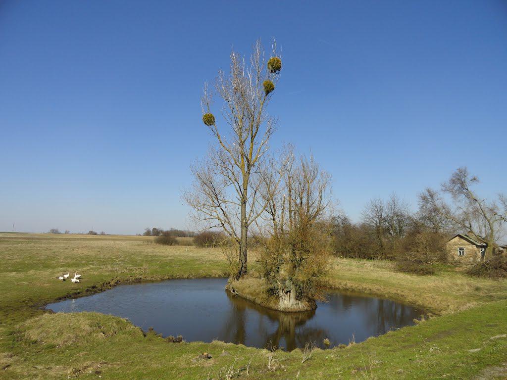 post-16372-0-05188100-1366061371_thumb.j