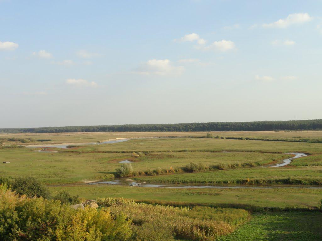 post-16372-0-07631400-1366063416_thumb.j