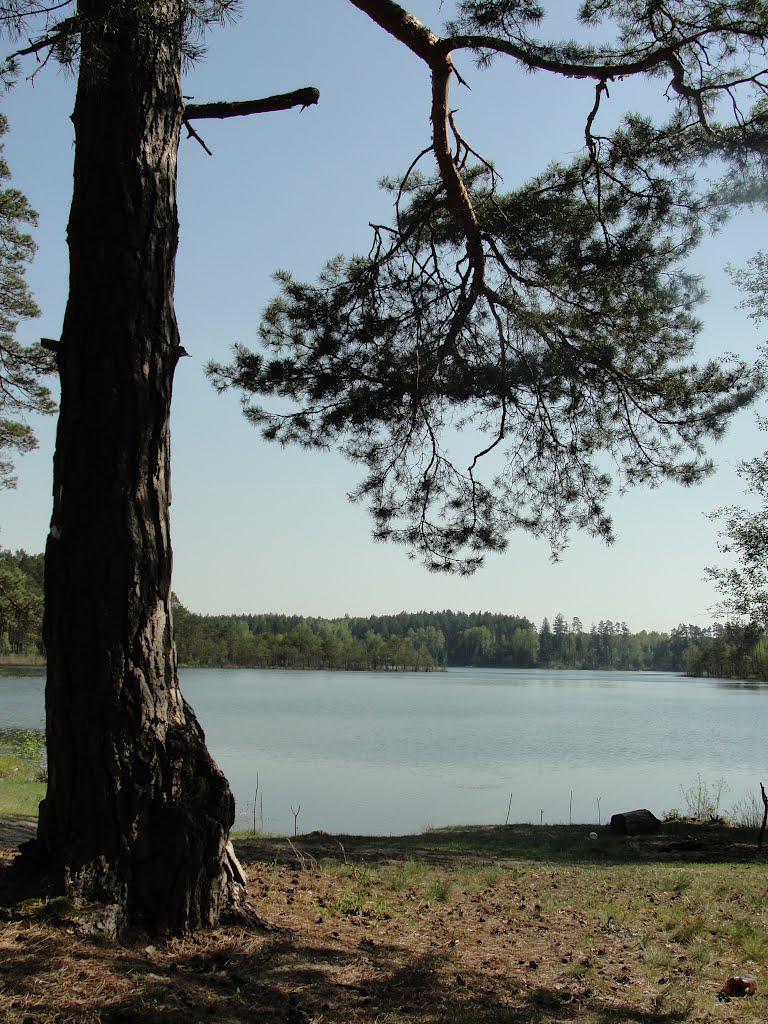 post-16372-0-08334400-1366061413_thumb.j