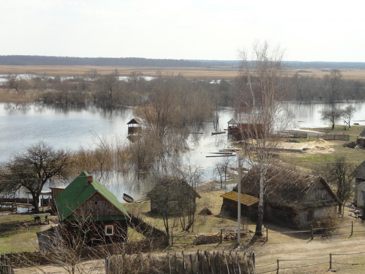 post-16372-0-09149900-1366199400_thumb.j