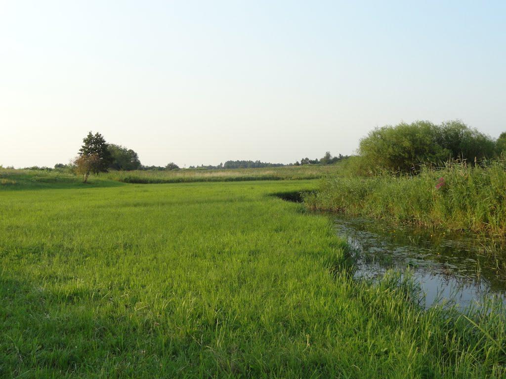 post-16372-0-09244500-1365810324_thumb.j