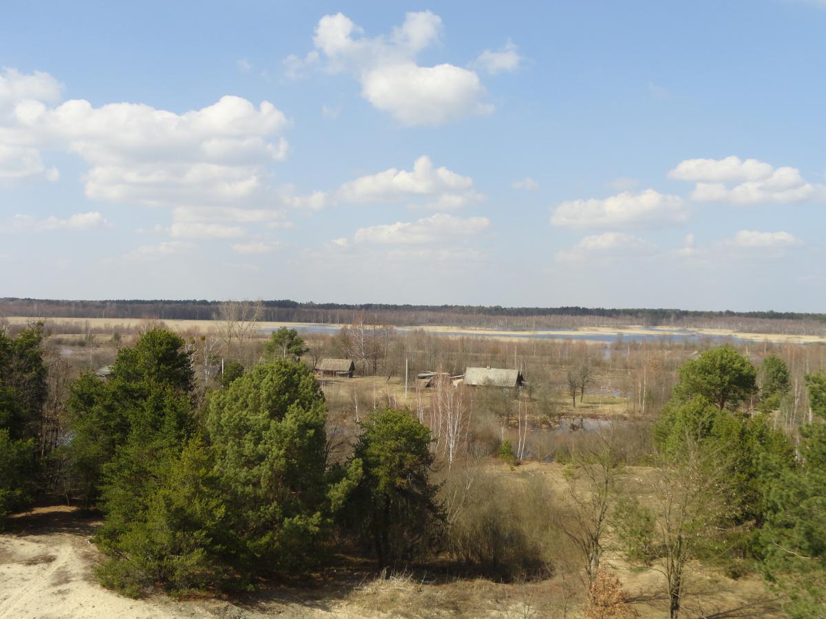 post-16372-0-09979800-1366198852_thumb.j