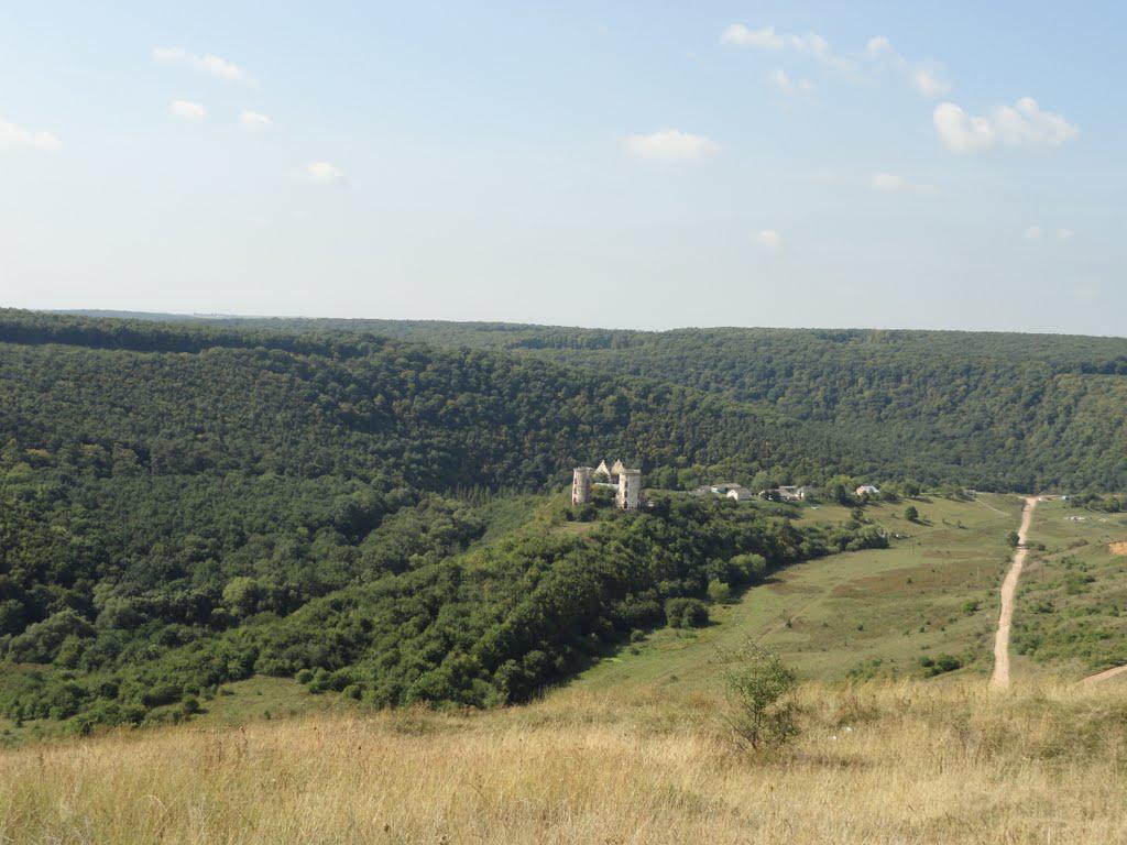 post-16372-0-11274700-1366063410_thumb.j