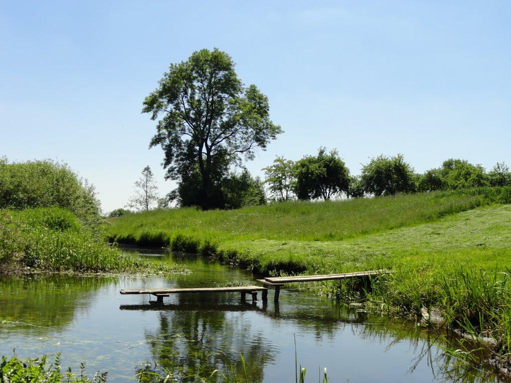 post-16372-0-13252400-1366063331_thumb.j