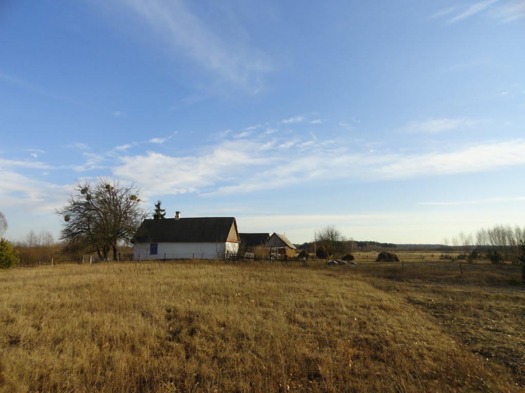 post-16372-0-15282100-1366063492_thumb.j