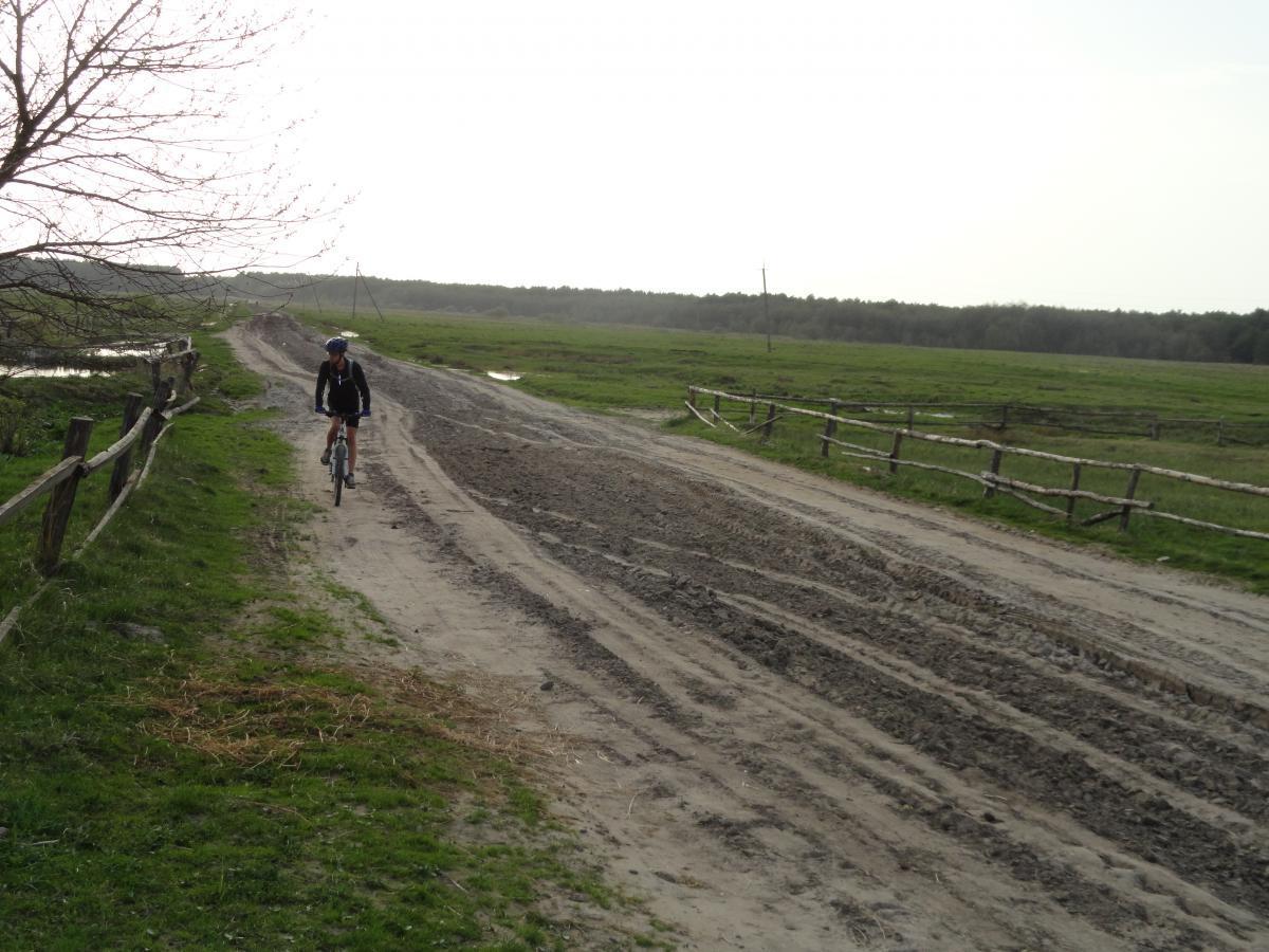 post-16372-0-16457600-1367184576_thumb.j