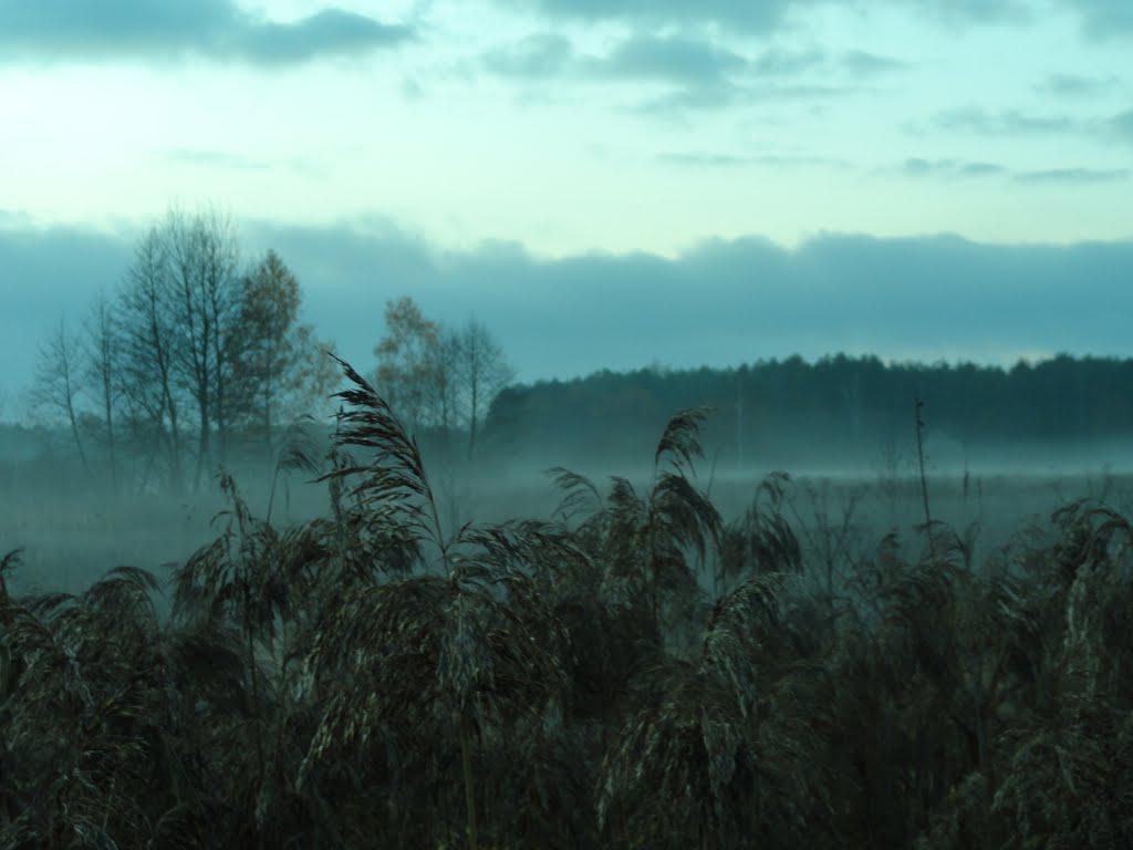 post-16372-0-16647100-1366063495_thumb.j