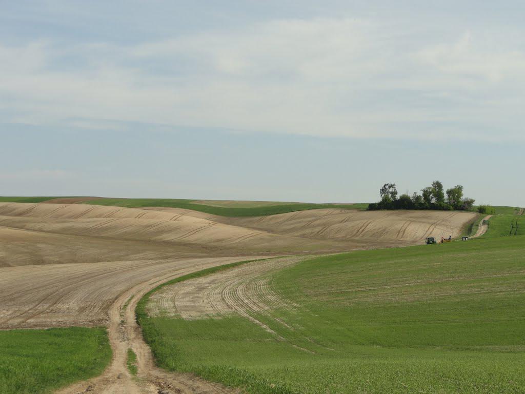 post-16372-0-16722700-1366061461_thumb.j