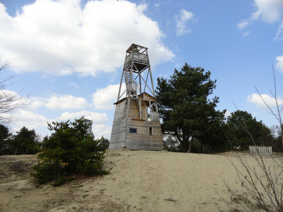 post-16372-0-16976200-1366199058_thumb.j