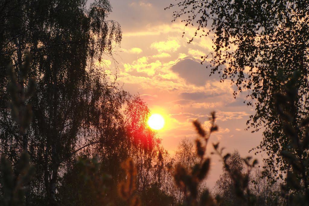 post-16372-0-17133700-1365809928_thumb.j