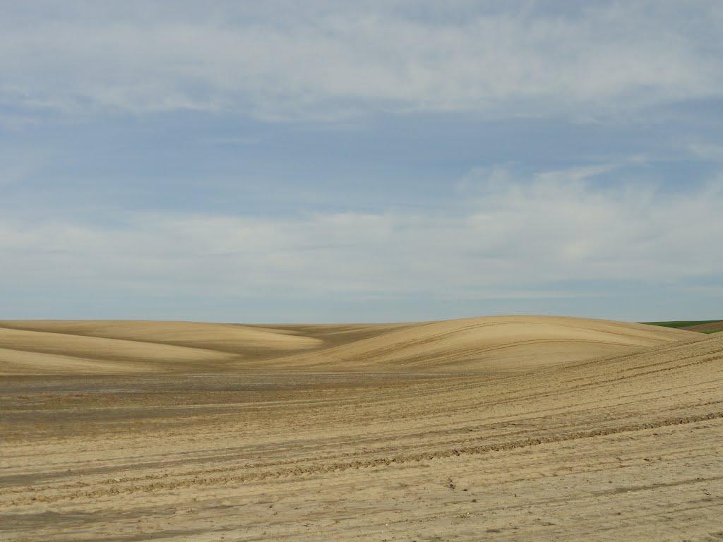 post-16372-0-17295100-1366061459_thumb.j