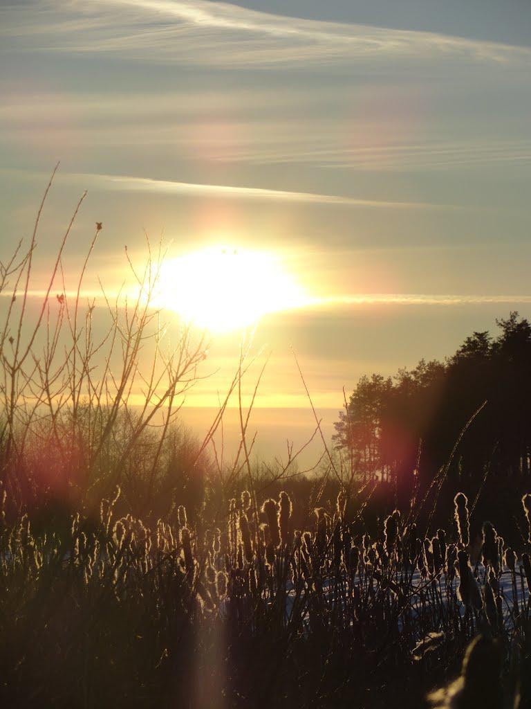 post-16372-0-18540500-1366063499_thumb.j