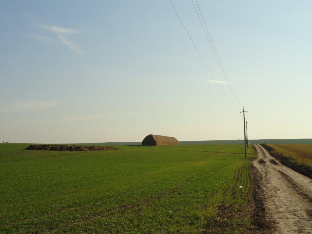 post-16372-0-18603700-1365809926_thumb.j