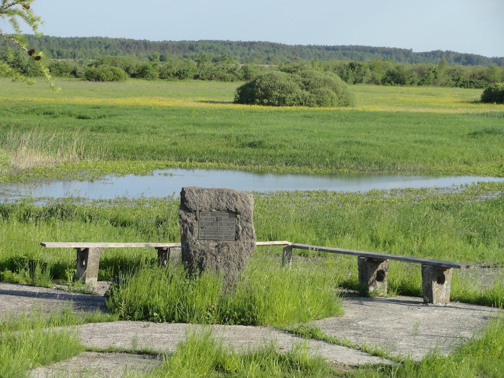 post-16372-0-19417100-1366061501_thumb.j