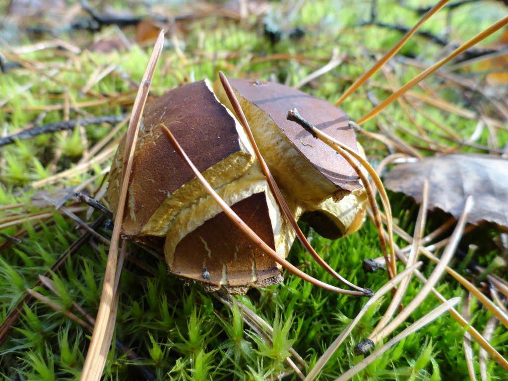 post-16372-0-19423400-1366063419_thumb.j