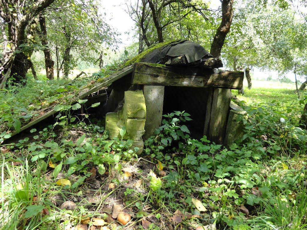 post-16372-0-19483700-1365810326_thumb.j