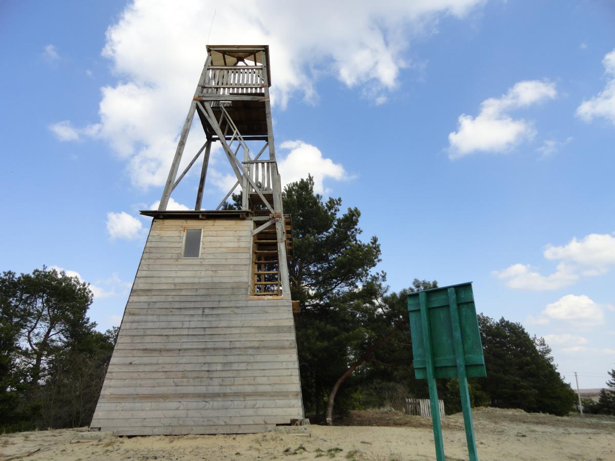 post-16372-0-19688900-1366199127_thumb.j