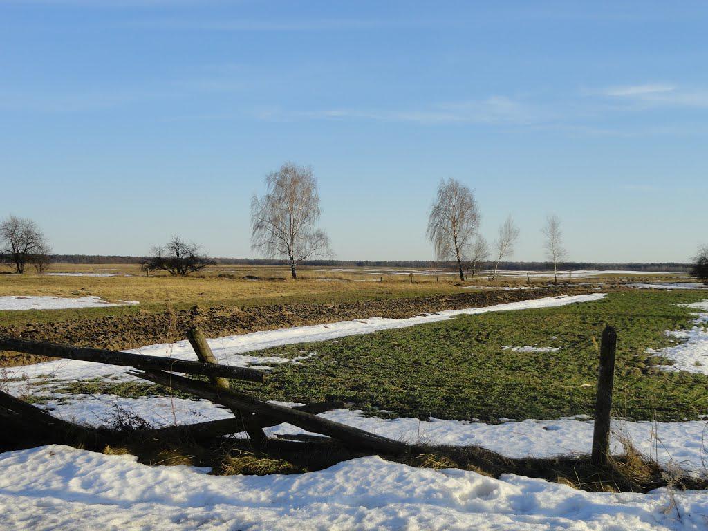 post-16372-0-20621500-1365809065_thumb.j