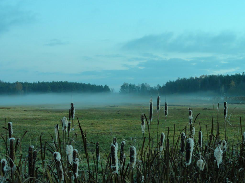 post-16372-0-20667800-1366063494_thumb.j