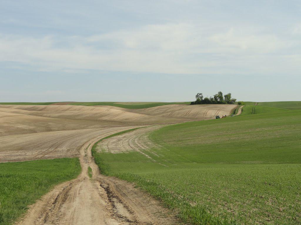 post-16372-0-21223700-1366061462_thumb.j