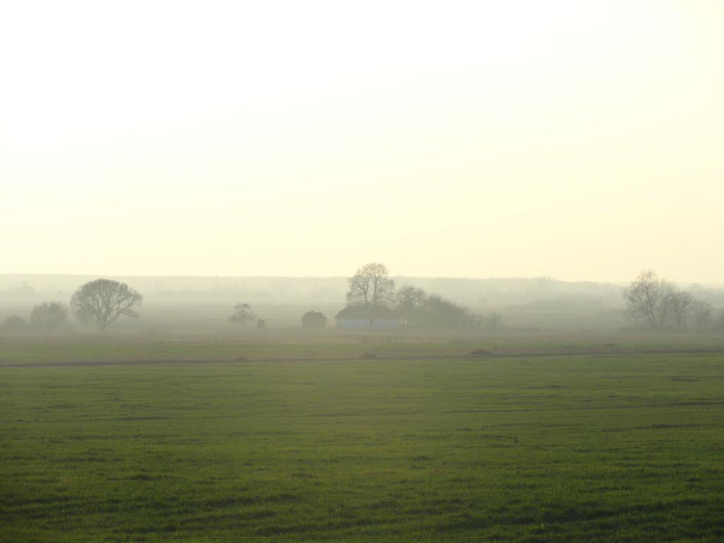 post-16372-0-22780200-1365809822_thumb.j