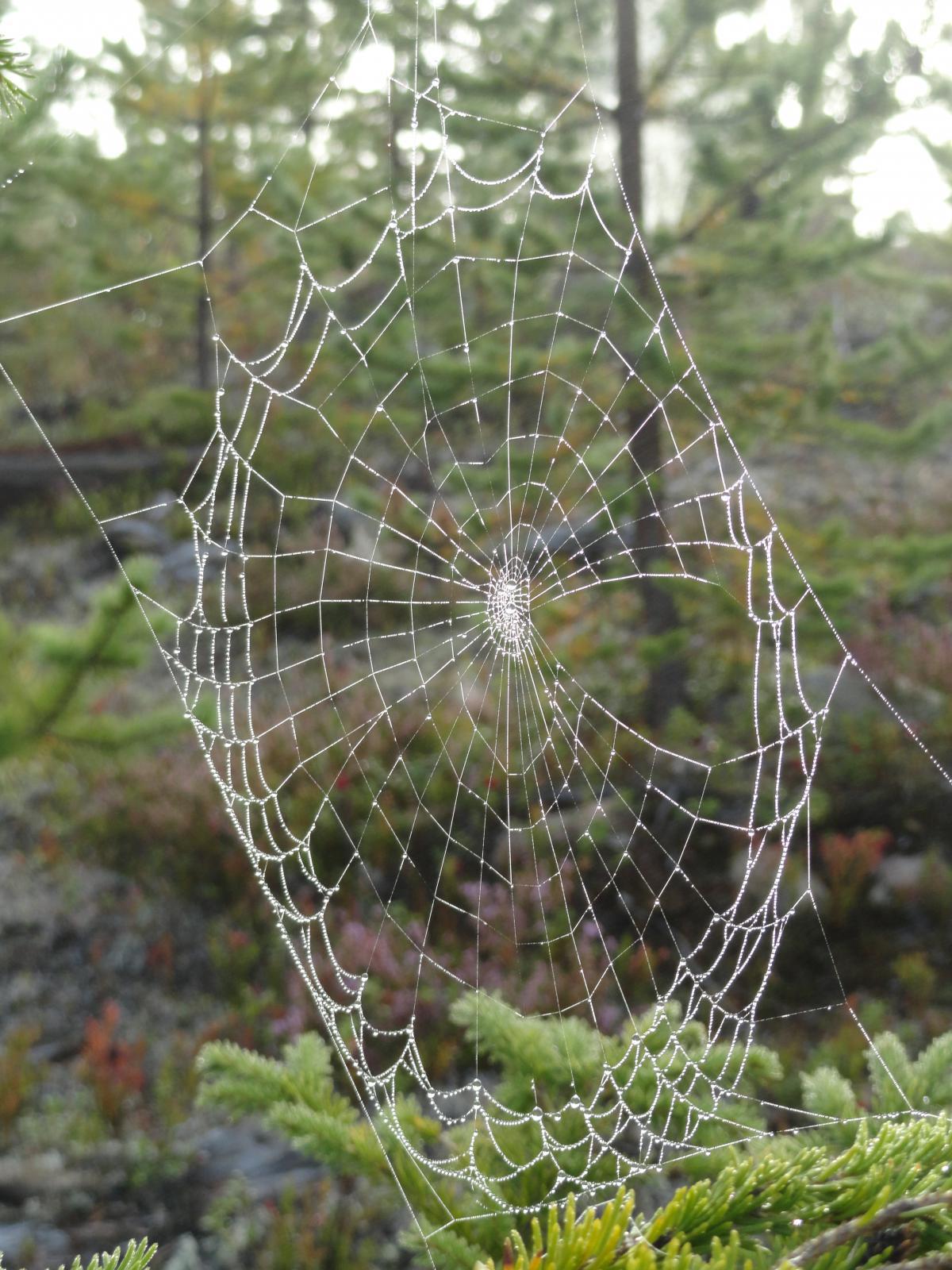 post-16372-0-22813800-1365808304_thumb.j