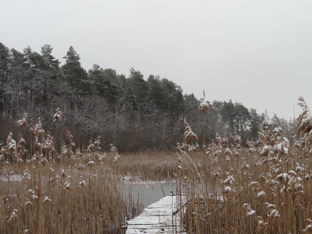 post-16372-0-23504600-1366063493_thumb.j