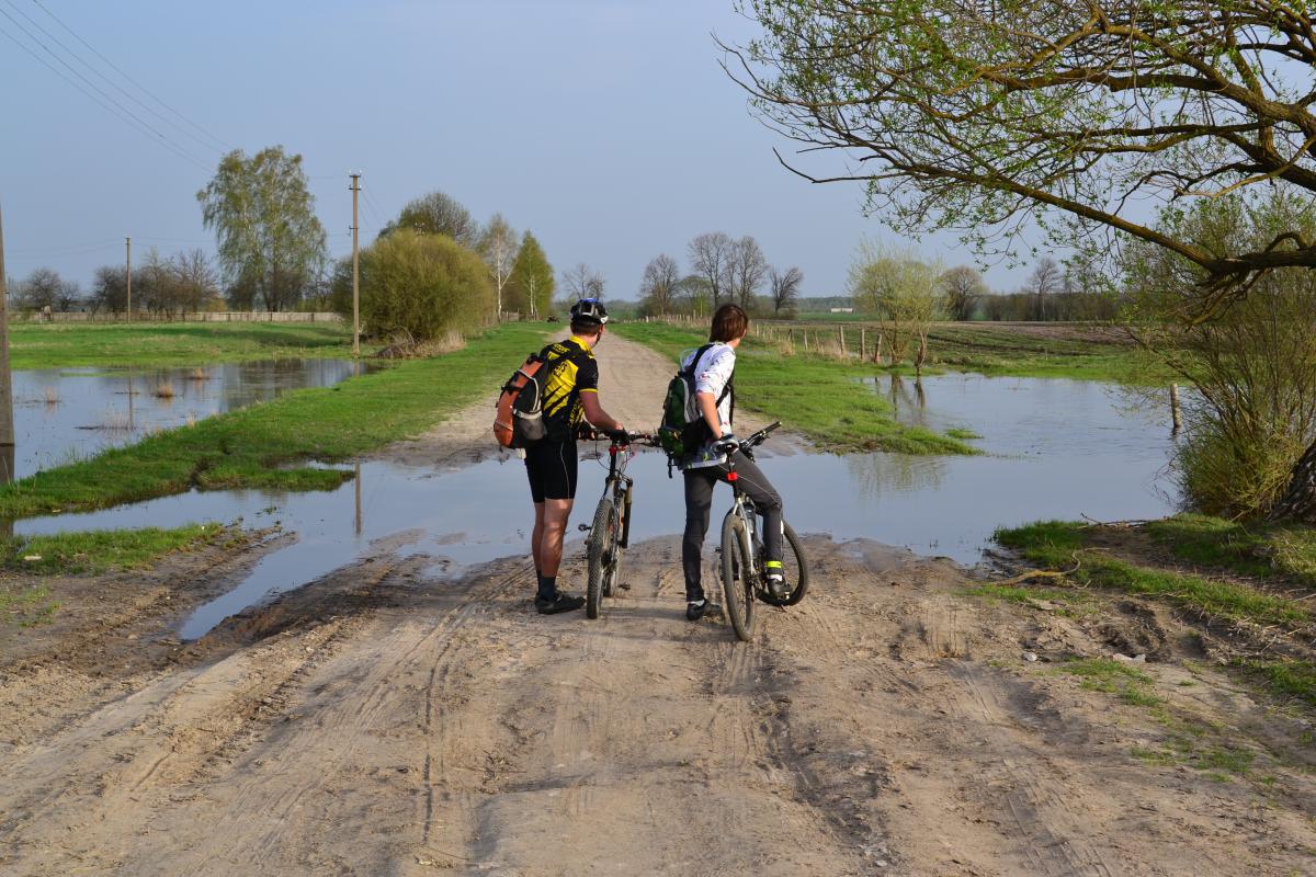 post-16372-0-24052400-1367320181_thumb.j