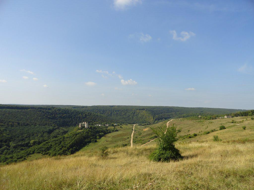 post-16372-0-24366000-1365809927_thumb.j