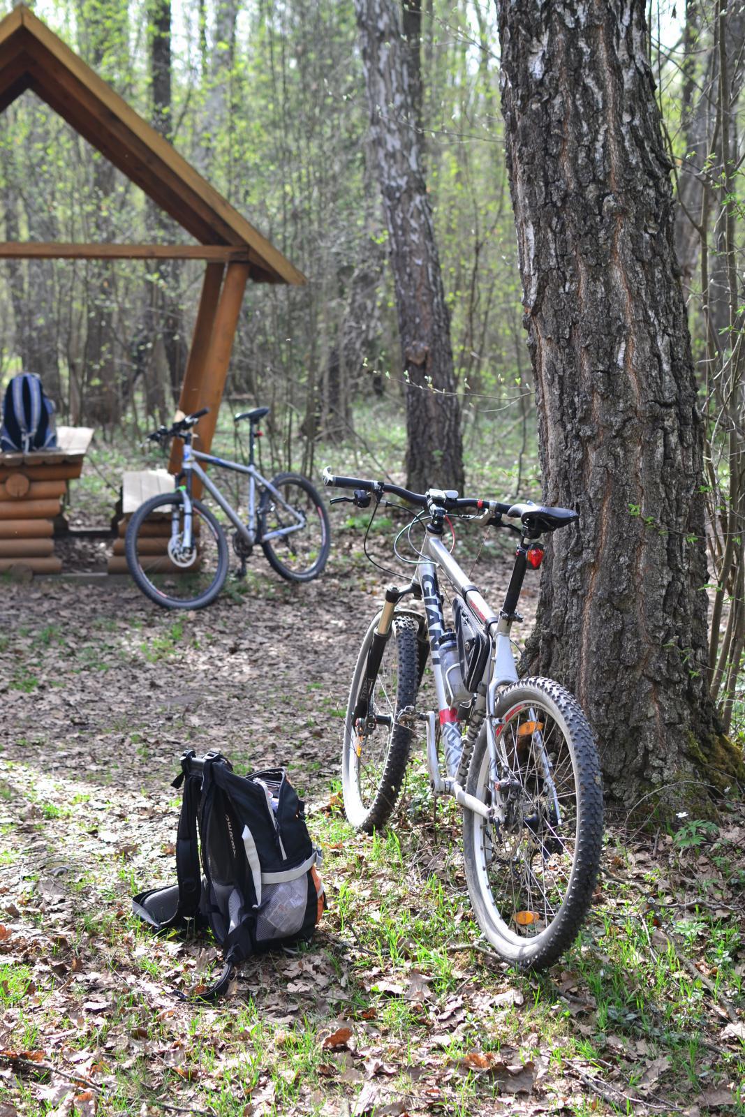 post-16372-0-25396000-1367319939_thumb.j