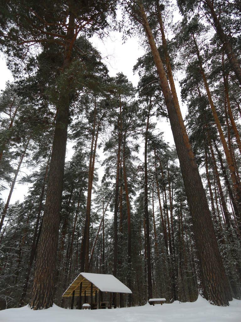 post-16372-0-28245700-1365809060_thumb.j